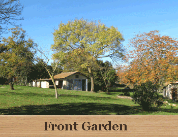 front_garden